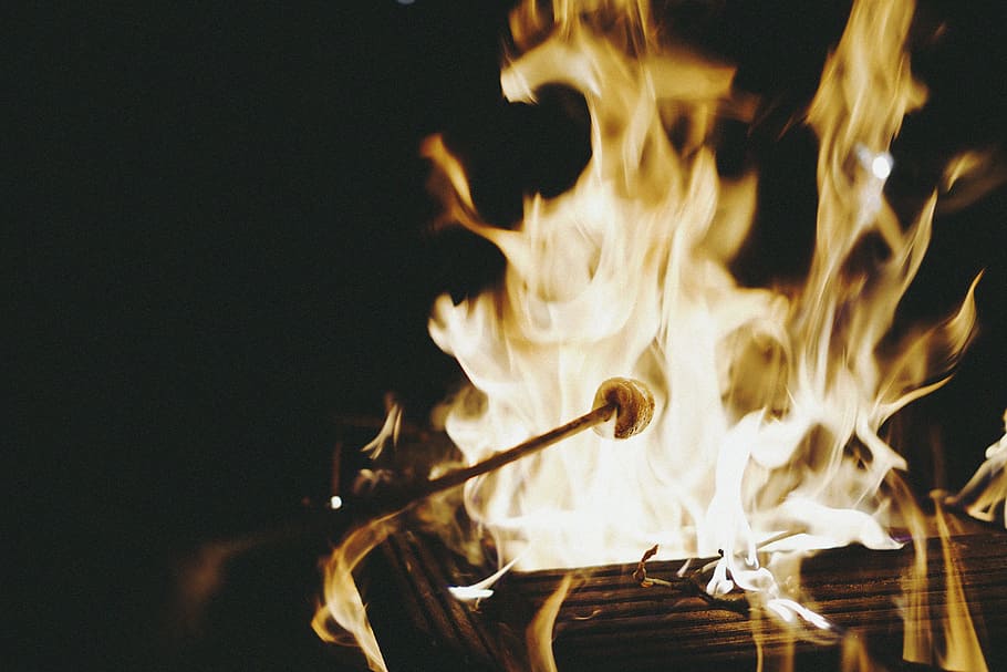 closeup photography of lighted bonfire, marshmallow on fire, burning HD wallpaper