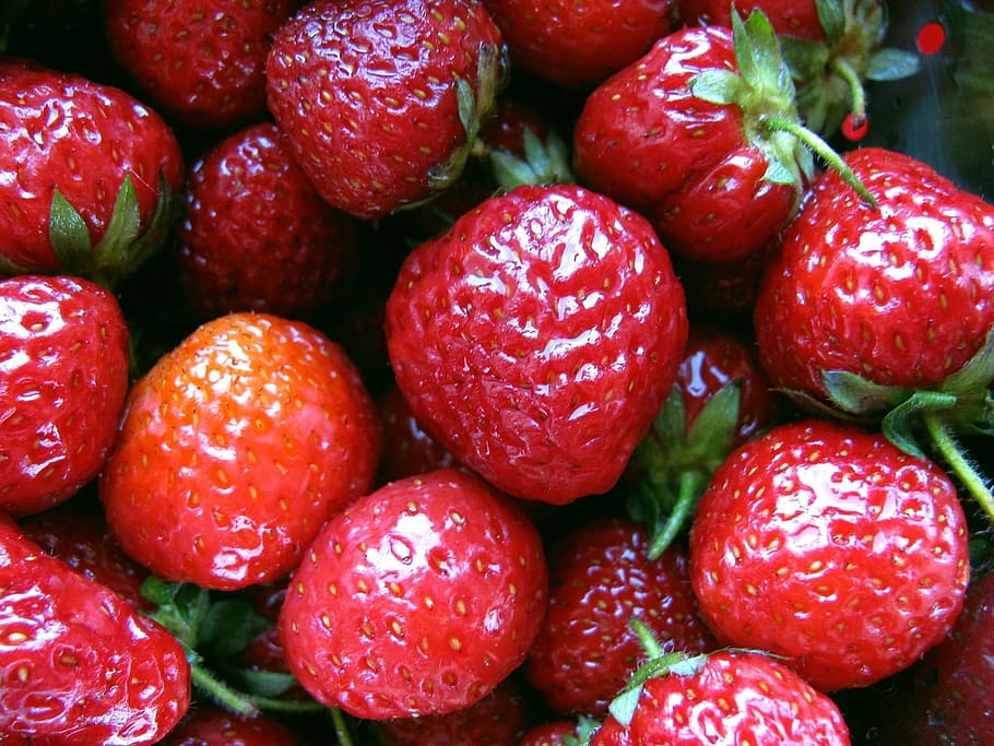 fruit, spring, strawberry, food, freshness, red, organic, ripe HD wallpaper
