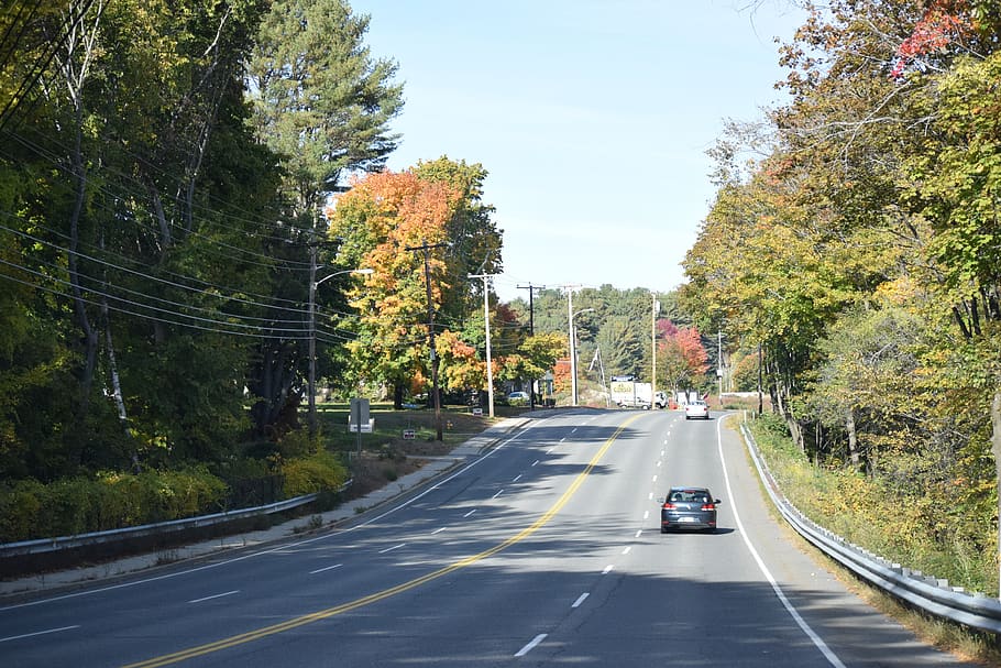 fall, roads, highway, asphalt, transportation, tree, mode of transportation HD wallpaper