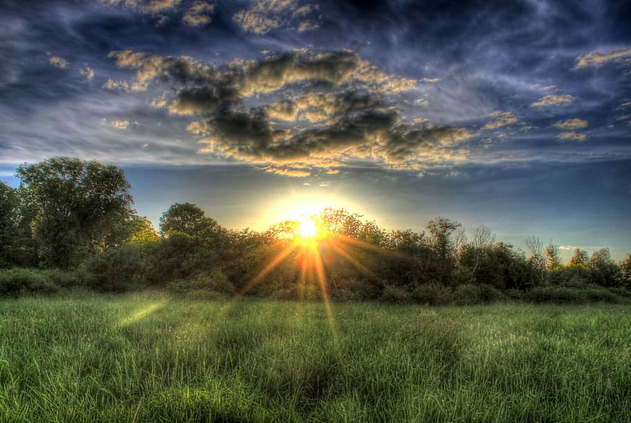 green grass field during sunset, sky, clouds, nature, landscape HD wallpaper