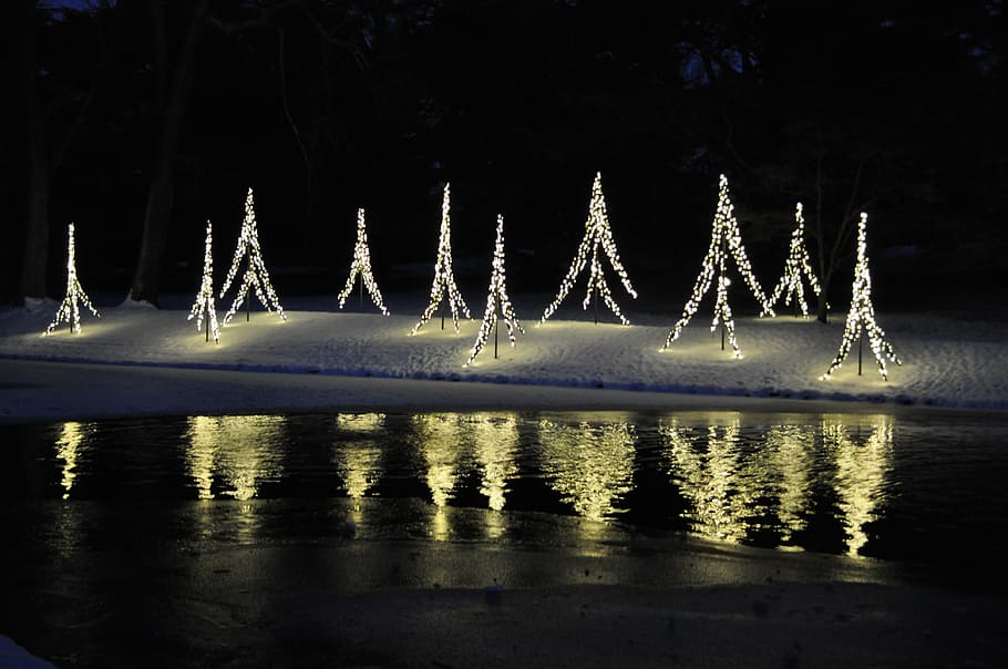 lights, reflection, gardens, christmas, holiday, night, water HD wallpaper