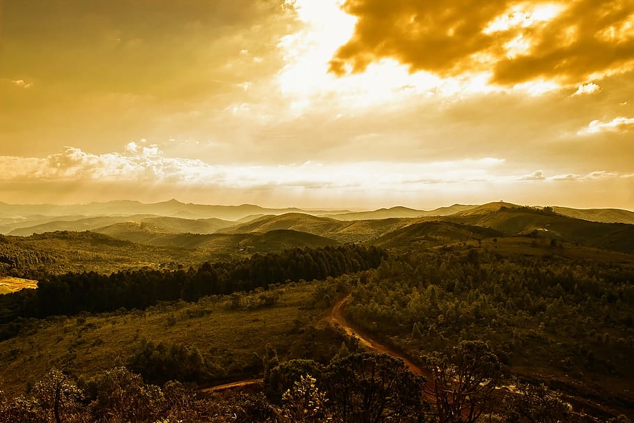 forest trees under orange clouds, mountains, sunrise, woods HD wallpaper
