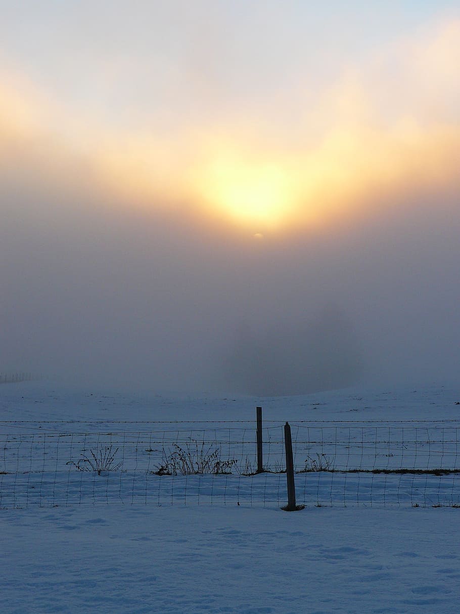 winter mood, sun, fog, clouds, atmospheric, nature, snow, winter picture HD wallpaper