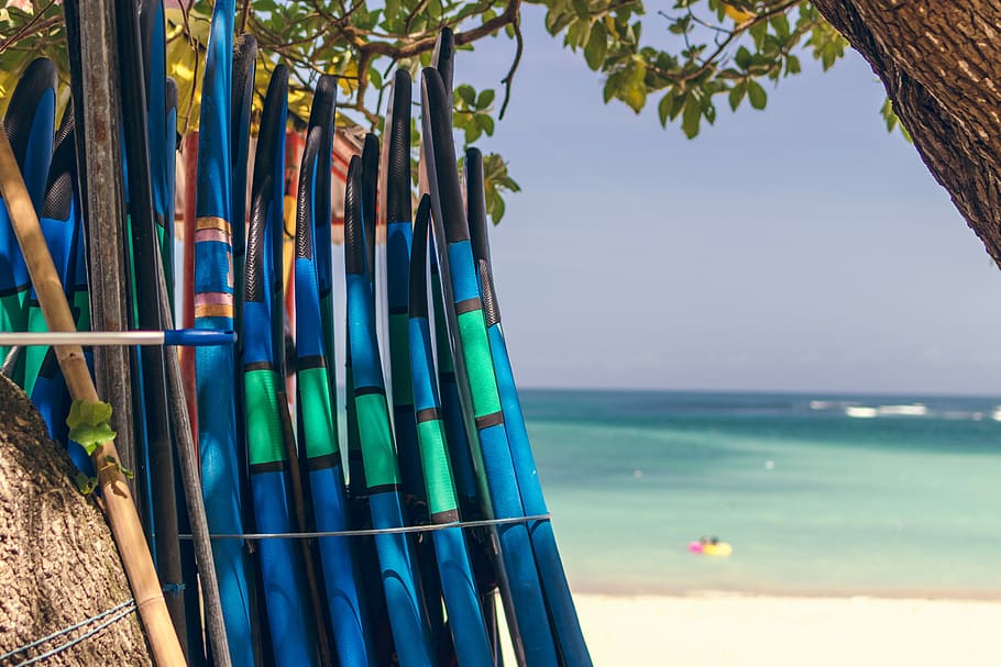 Surfboards on the beach, blue surfboards tied on tree, sea, ocean HD wallpaper