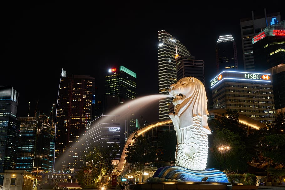 Merlion Park, Singapore, Asian, Travel, urban, architecture, beautiful, HD wallpaper