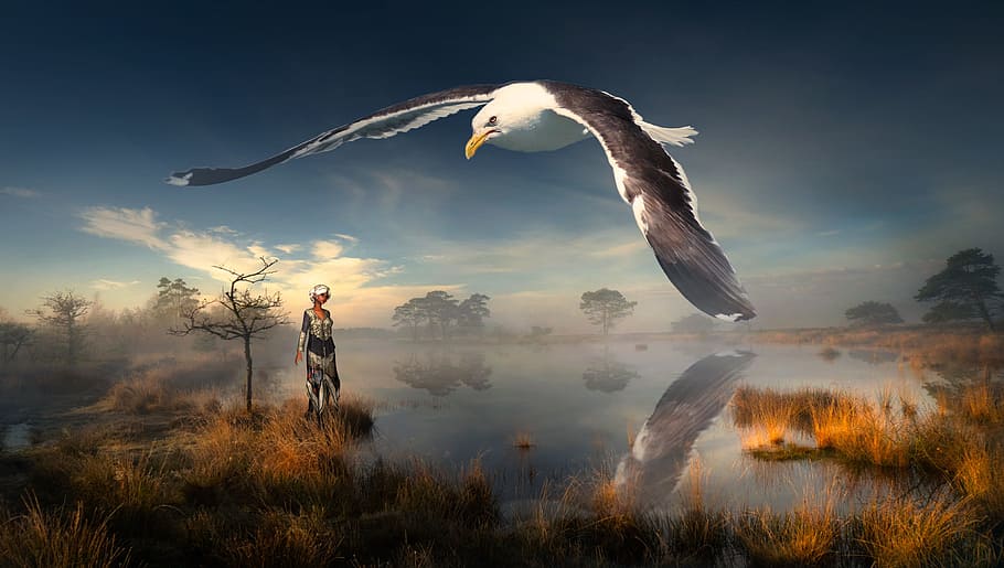 brown and white eagle flying in the sky during dawn, fantasy