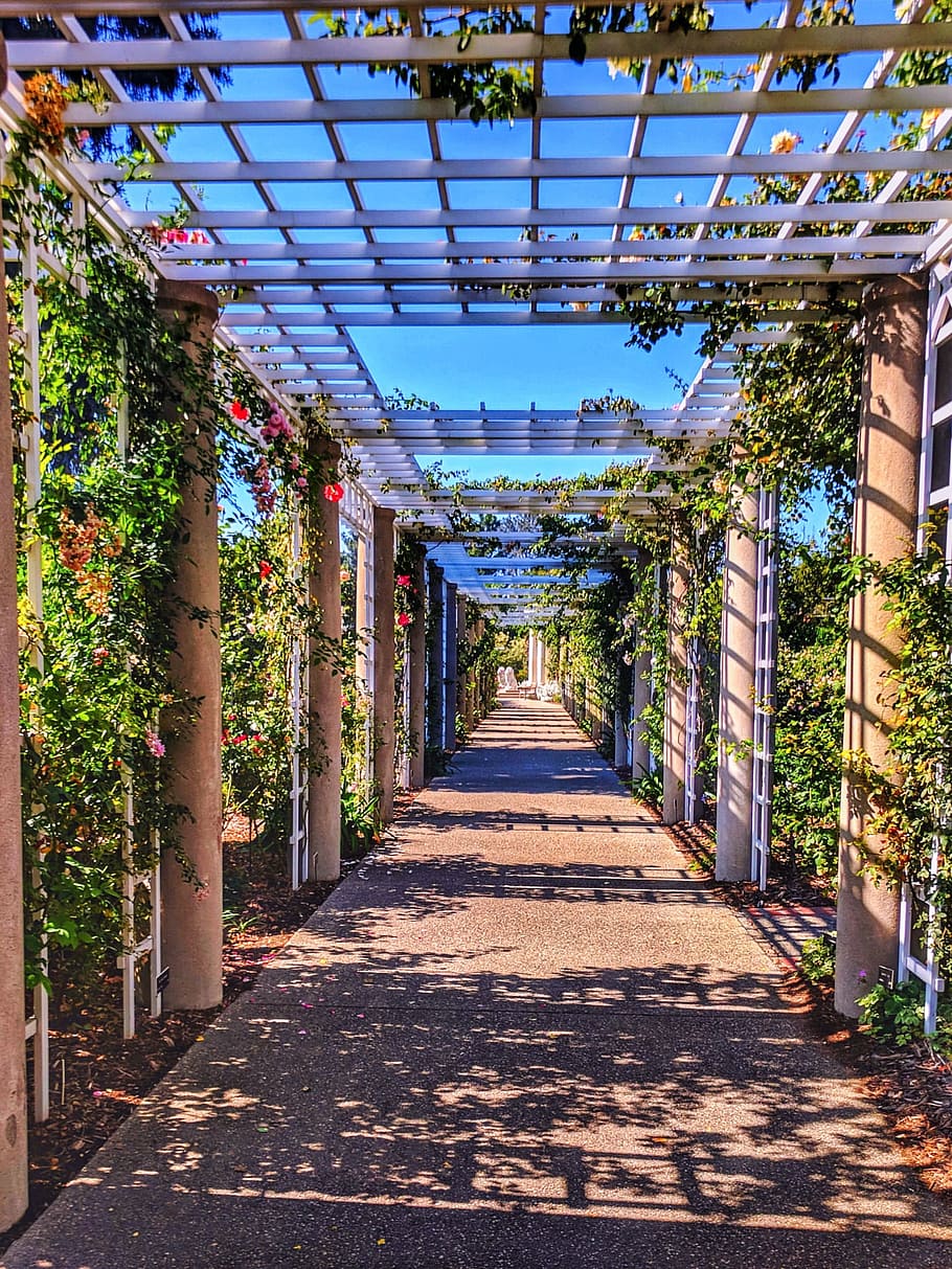 garden, architecture, flora, flower, outdoors, travel, nature HD wallpaper