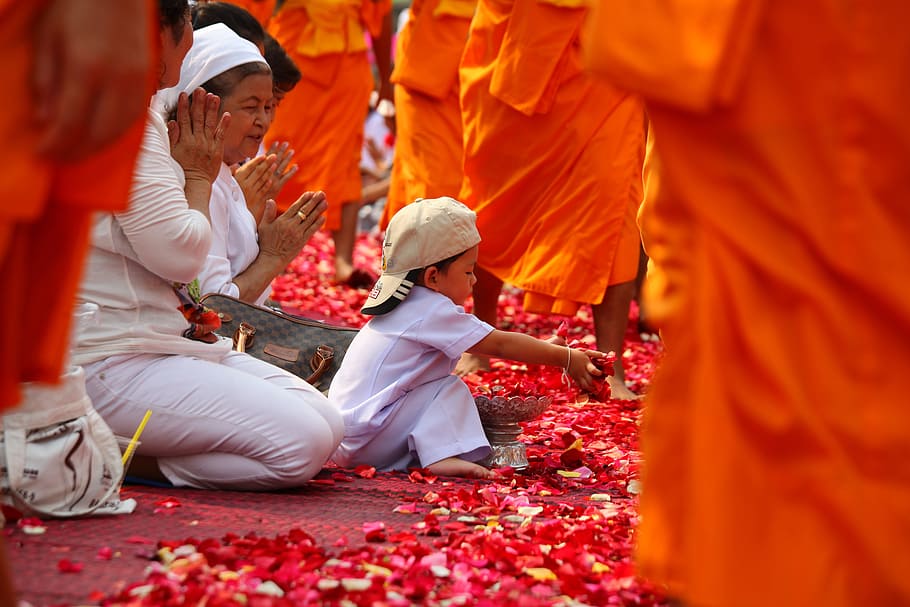 boy sitting on floor covered in red petals, monks, buddhists HD wallpaper