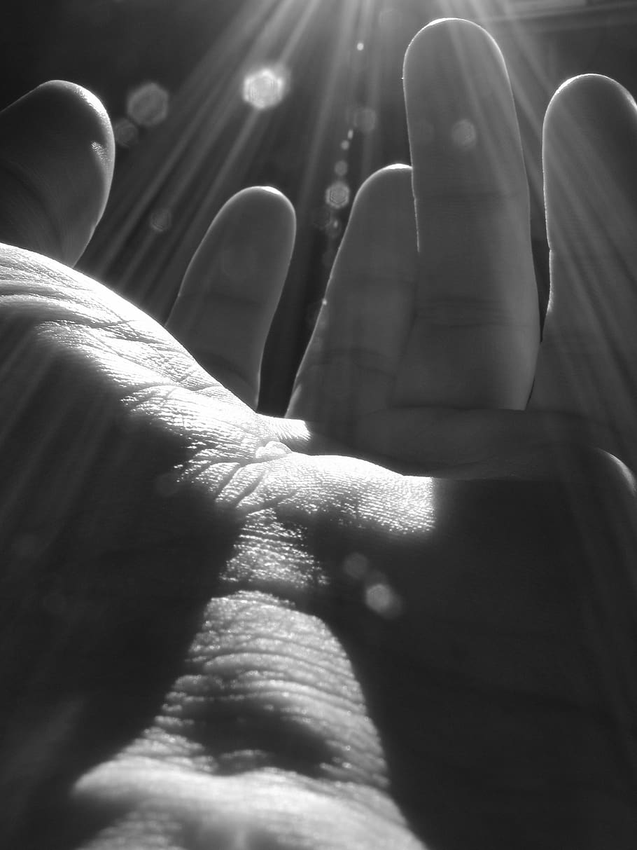 hand, god, light, reaching, man, unity, renaissance, human body part HD wallpaper