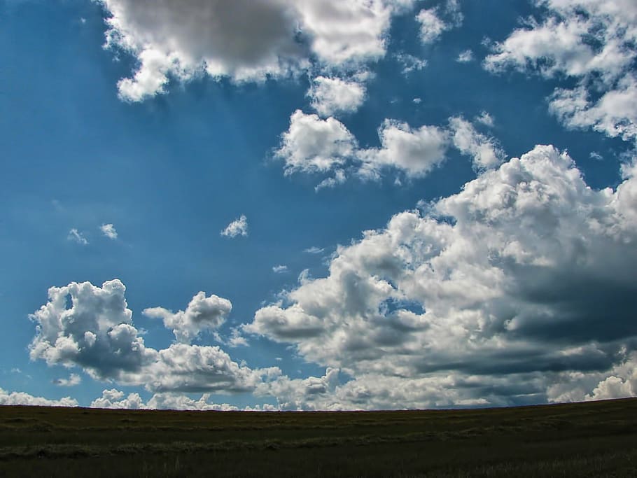 field, sky, clouds, nature, summer, horizon, landscape, blue HD wallpaper