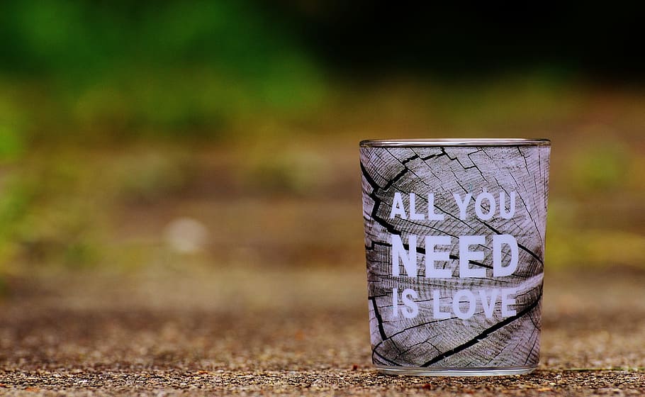 gray and black all you need is love-printed mug, affection, valentine's day, HD wallpaper