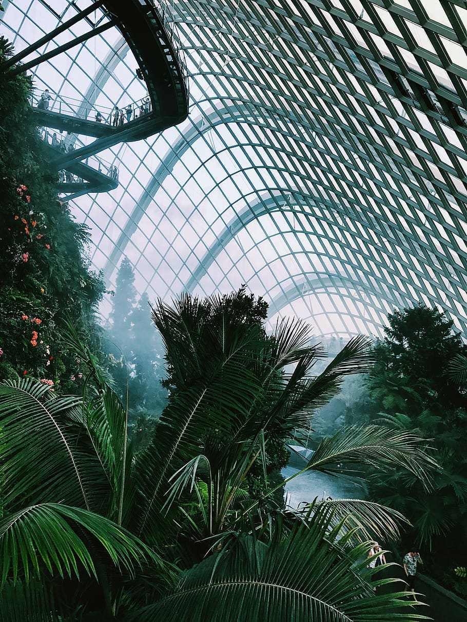 untitled, architecture, path, building, glass, metallic, plant HD wallpaper