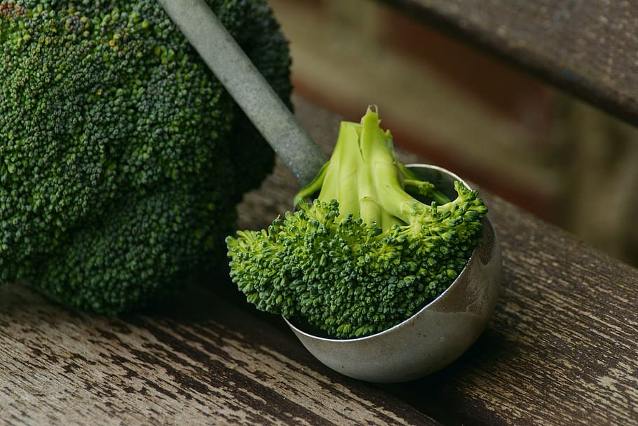 brocolli on a gray metal ladle, broccoli, vegetables, healthy HD wallpaper