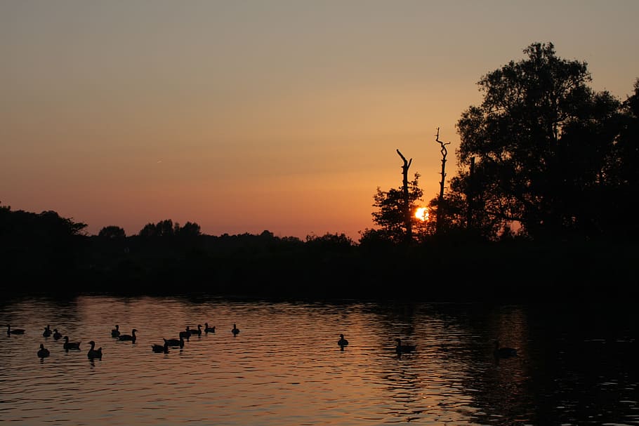 Sunset, Water, Landscapes, Clouds, sky, outdoors, tranquil HD wallpaper