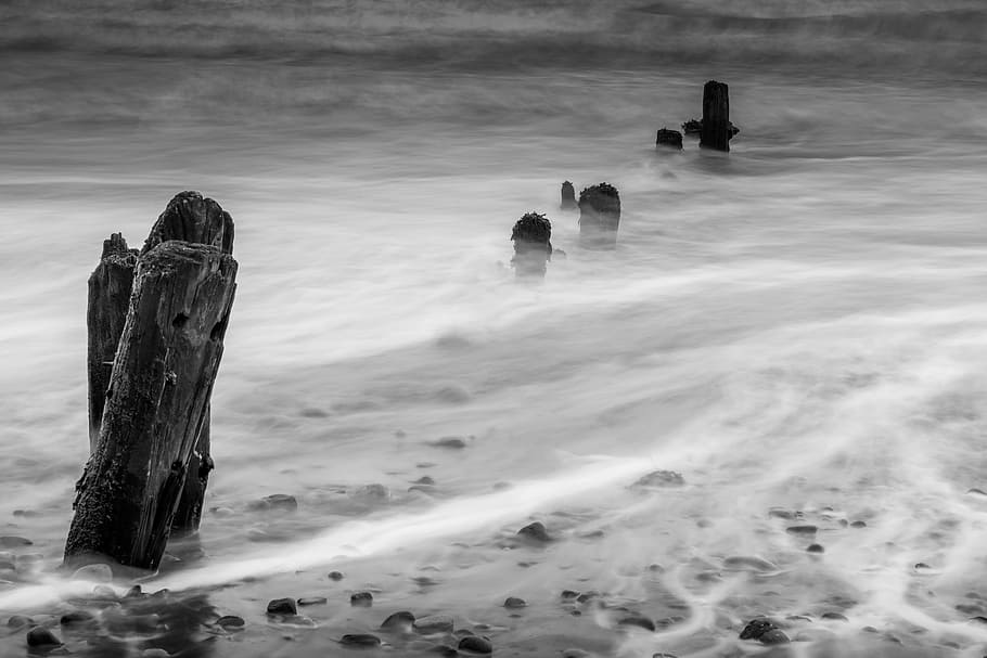 driftwood in water, groynes, wave breaks, seascape, sandsend HD wallpaper