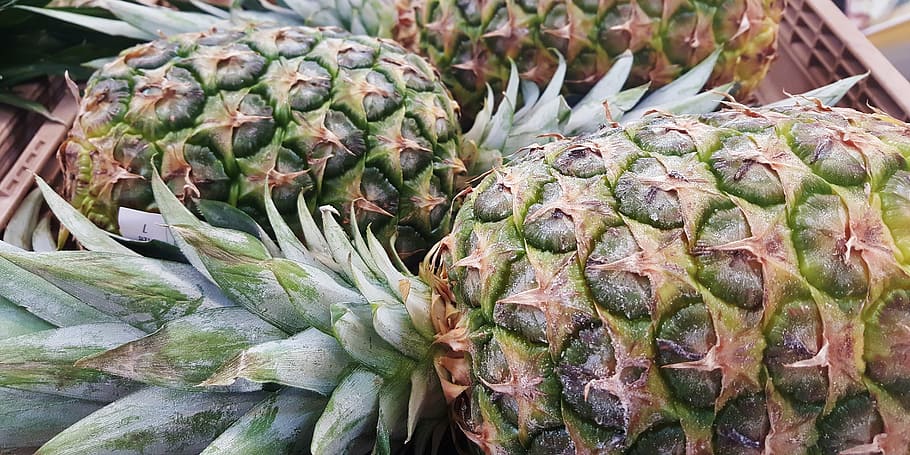 pineapples, rough, fruit, tropical, tropics, food, grocery HD wallpaper
