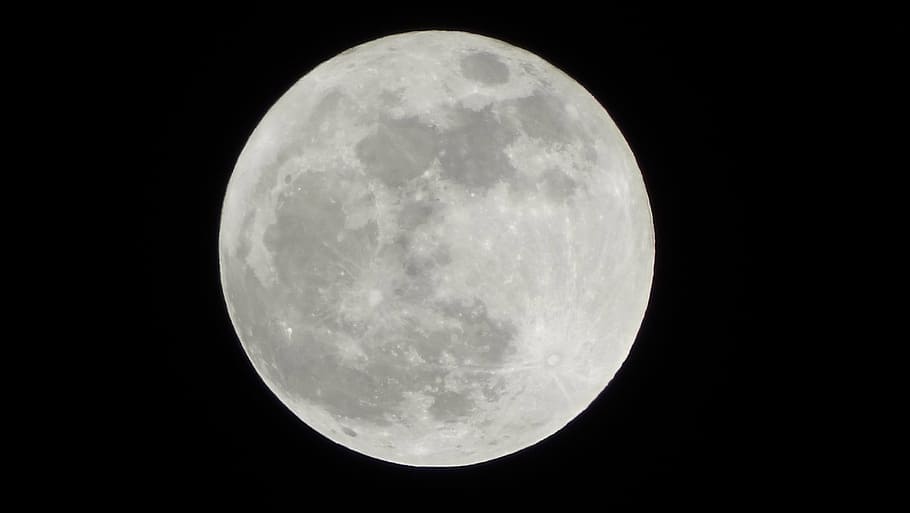photo of full moon, sky, crater, night, astronomy, moon Surface HD wallpaper