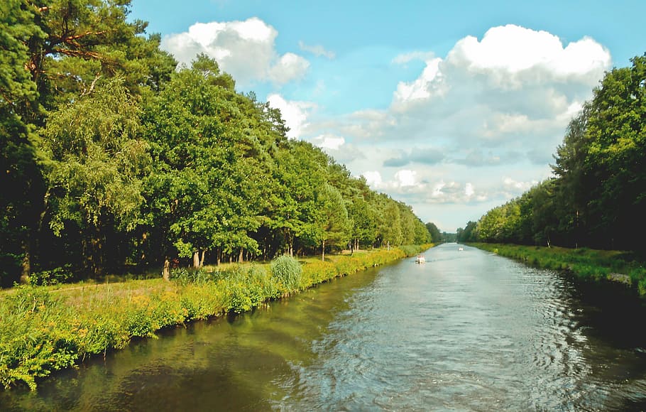 river, water, channel, forest, tree, plant, sky, cloud - sky HD wallpaper