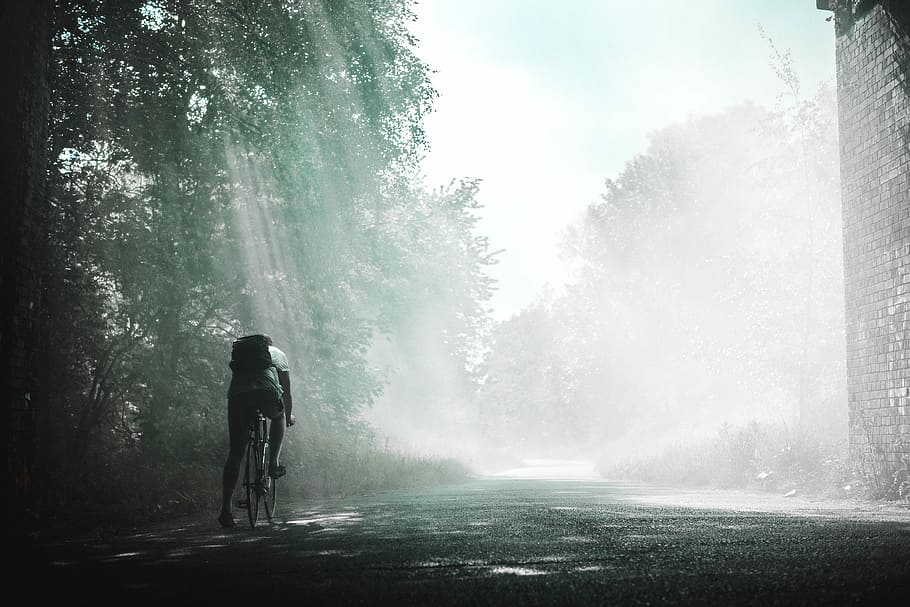 person riding on bicycle during daytime, person riding on bicycle near green trees during daytime HD wallpaper