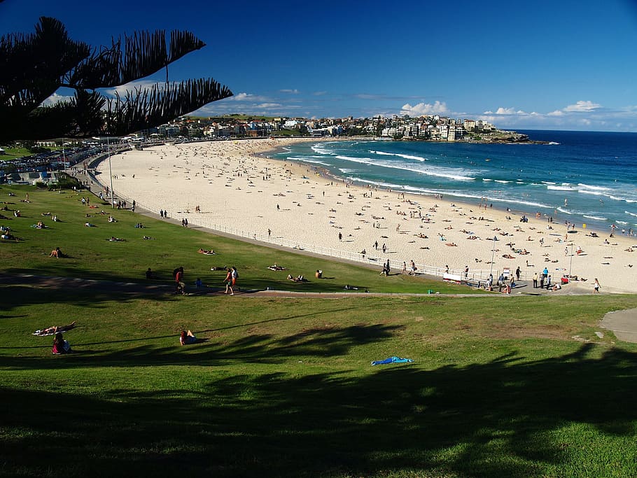 Landscape, Australia, Beach, Grass, Sea, ocean, water, sky HD wallpaper