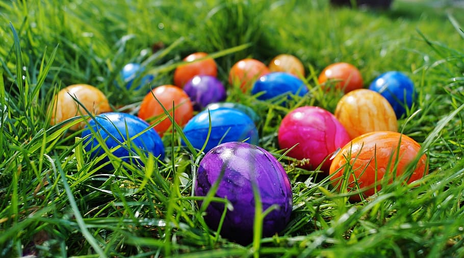 assorted-color ball lot, easter, eggs, color eggs, spring, in the grass HD wallpaper