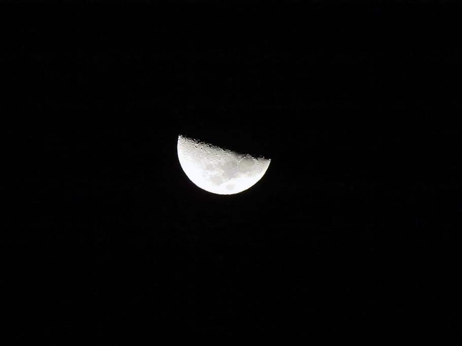 moon, night, nature, at night, full moon, black and white, black background HD wallpaper