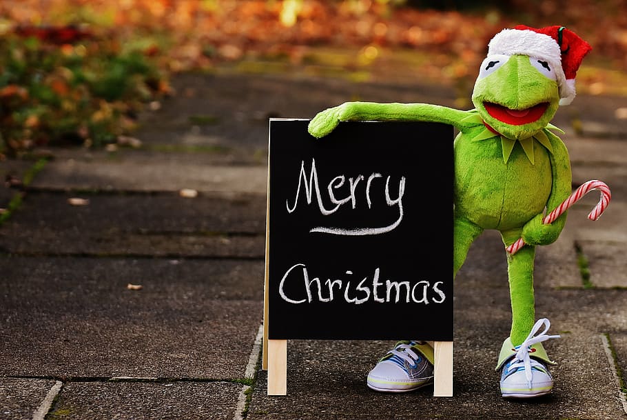 brown Hermit the Frog plush toy holding Merry Christmas signage