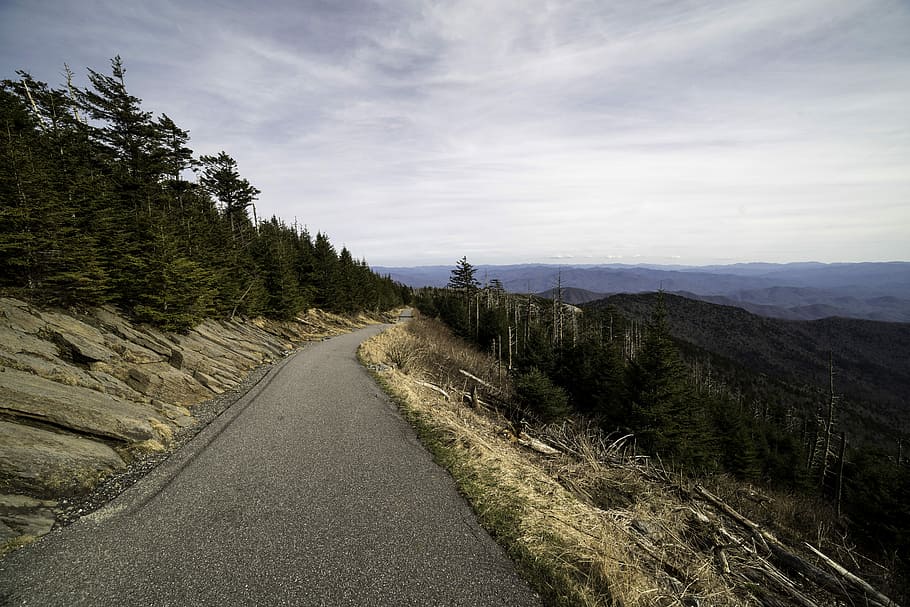 Clingman's Dome Trail to the top landscape in Great Smoky Mountains National Park, Tennessee, HD wallpaper