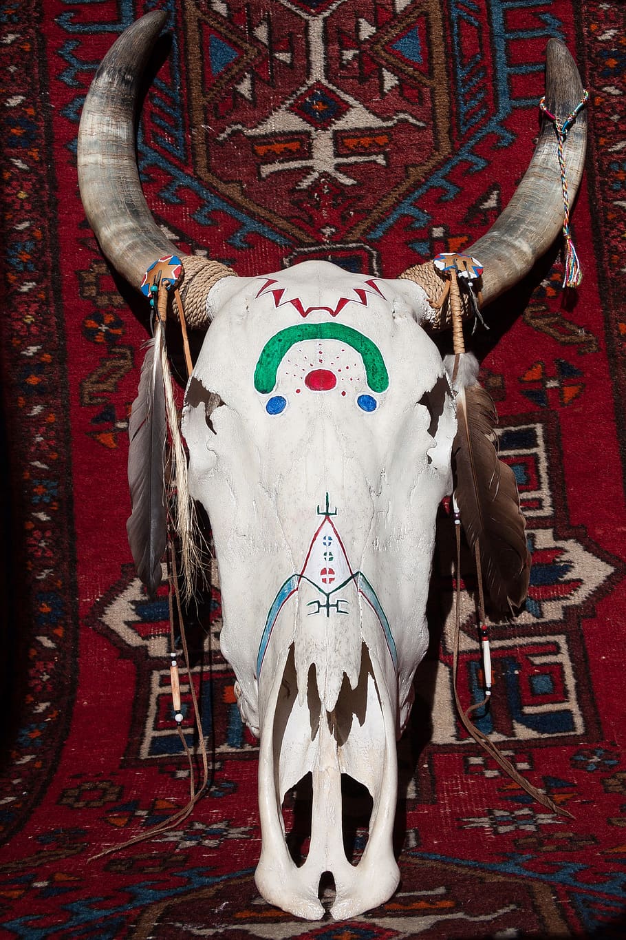 white animal skull with paint on carpet, Beef, Painted, Horn, HD wallpaper