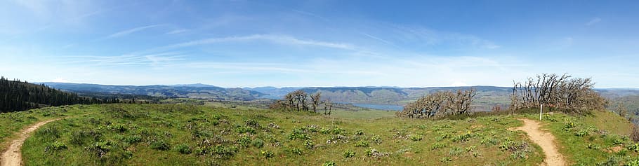 Columbia, Gorge, Oregon, River, Nature, landscape, field, grass HD wallpaper
