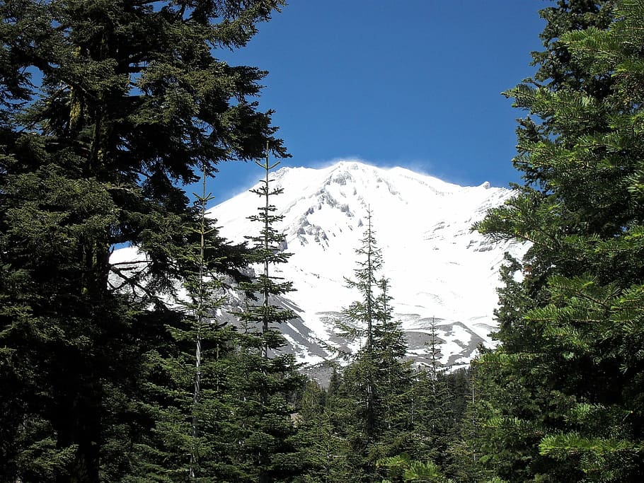 Mount Shasta, Mountain, Trees, Landscape, natural, peak, scene, HD wallpaper