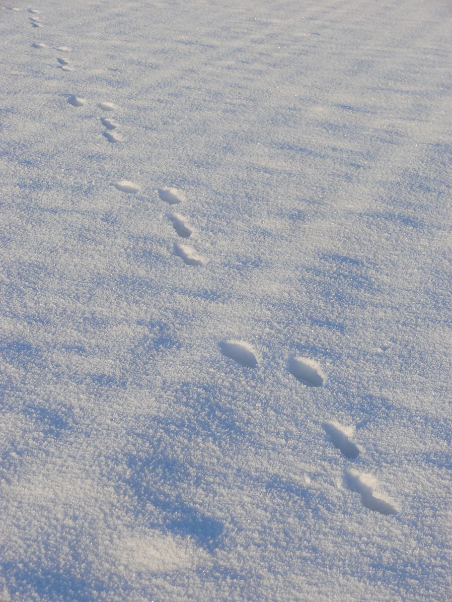 snow, traces, winter, steps, cold temperature, no people, land HD wallpaper