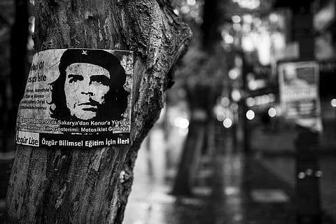 Che Guevara photo on tree, poster, revolution, left, dom, resistance HD wallpaper