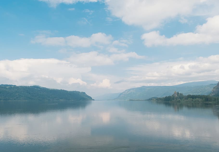 forest beside body of water during daytime, landscape, lake HD wallpaper
