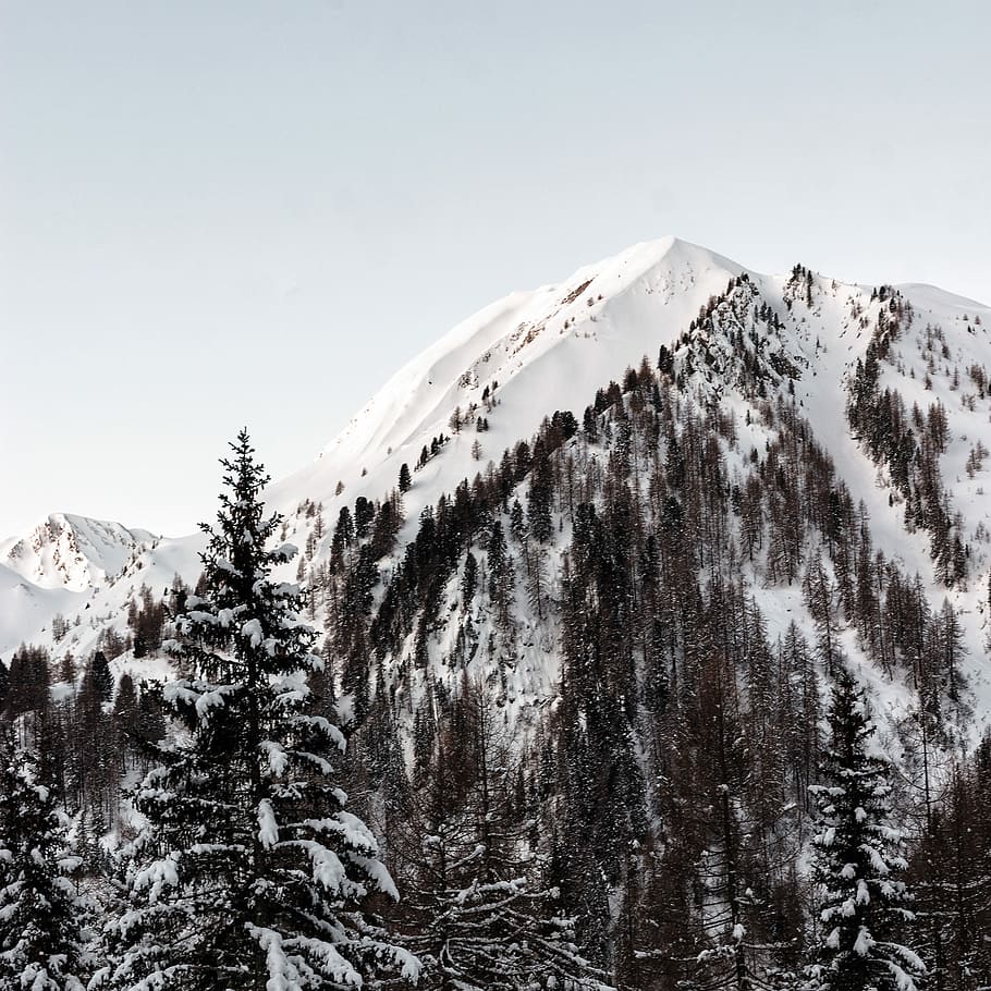 mountain covered with snow and surrounded with trees, landscale photography of snow-covered mountain near pine trees under cloudy sky HD wallpaper