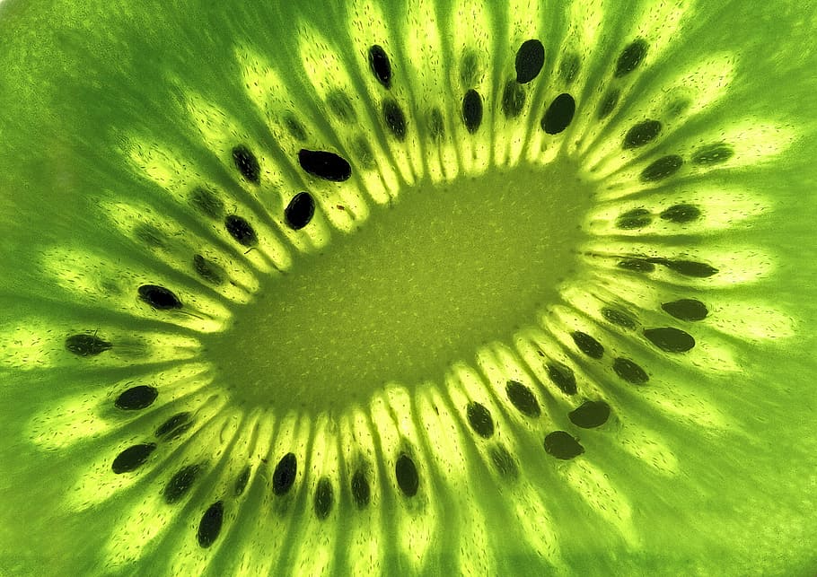macro, kiwi, green, fruit, cut, healthy eating, kiwi - fruit HD wallpaper