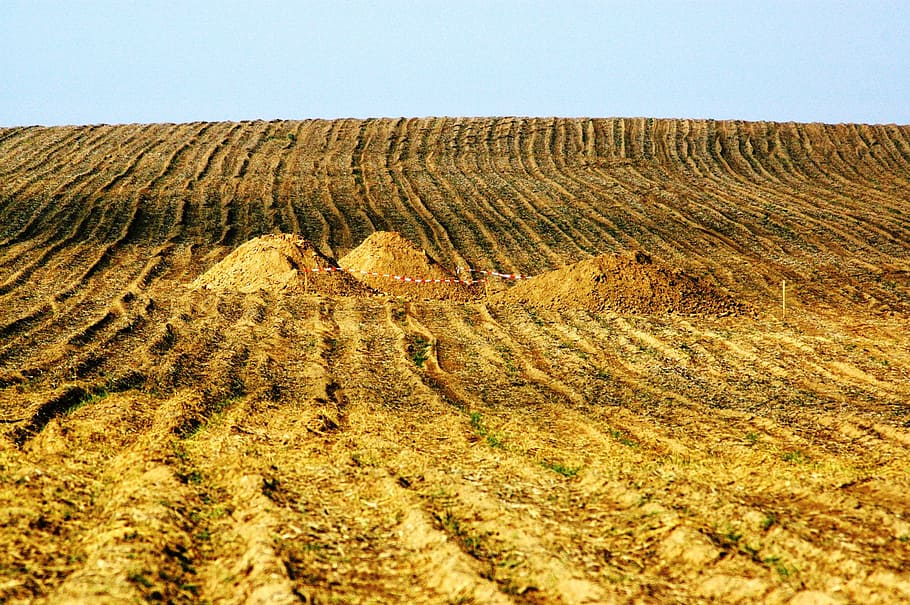 Field, Furrow, Excavation, Work, Horizon, no people, day, landscape HD wallpaper