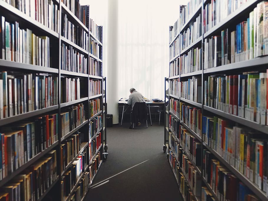 person reading front of table near wall in library, shelf, book HD wallpaper