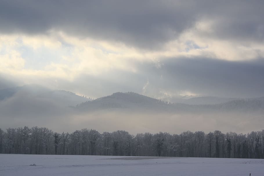 snow, nature, winter, landscape, sky, tree, beauty in nature HD wallpaper