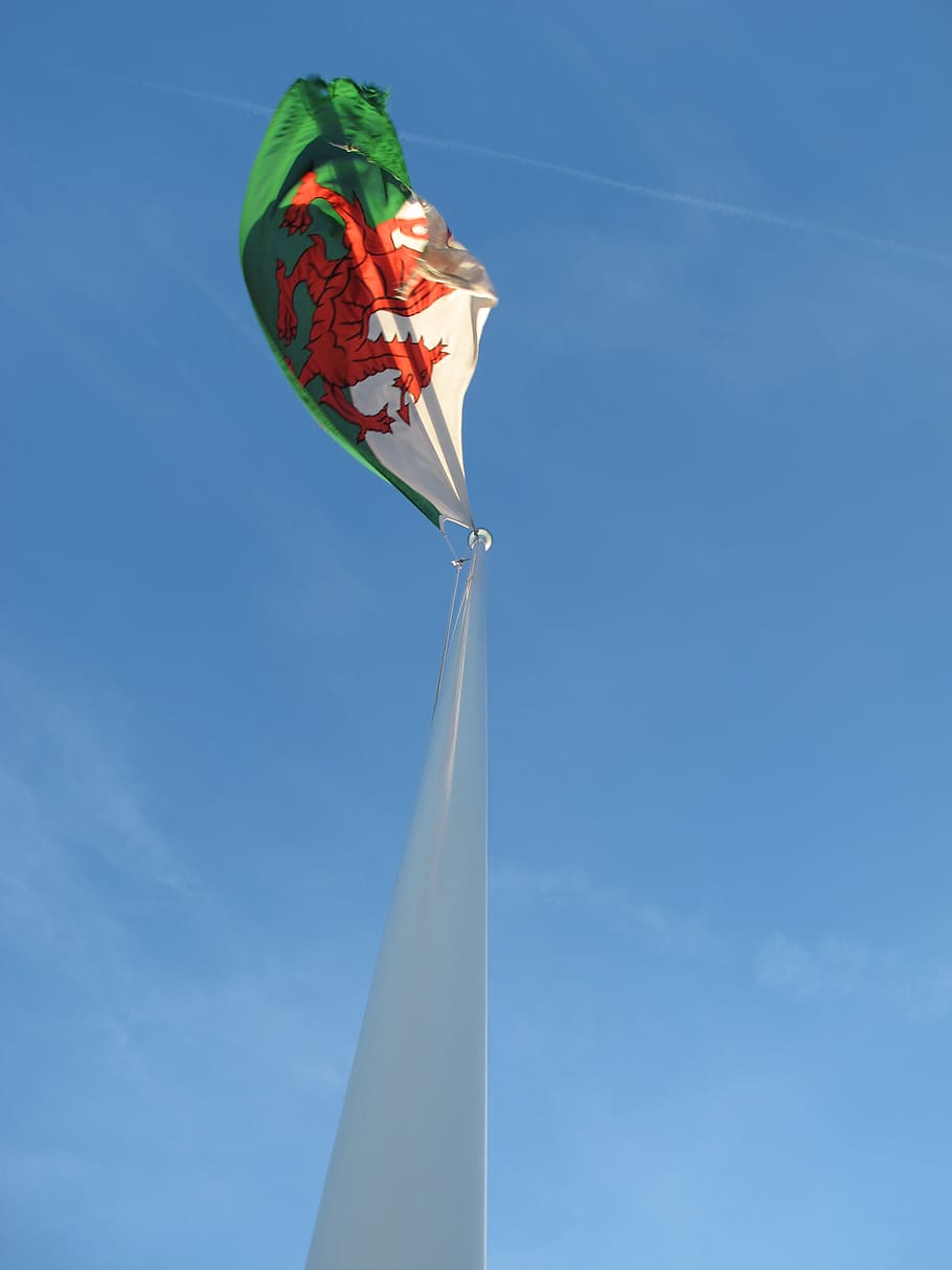 flag, wales, red dragon, welsh, emblem, sky, low angle view HD wallpaper