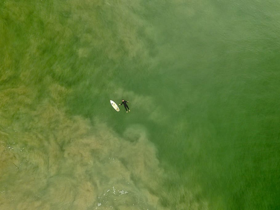 aerial photography person floating at sea beside white board at daytime, person lying on body of water beside surfboard, HD wallpaper
