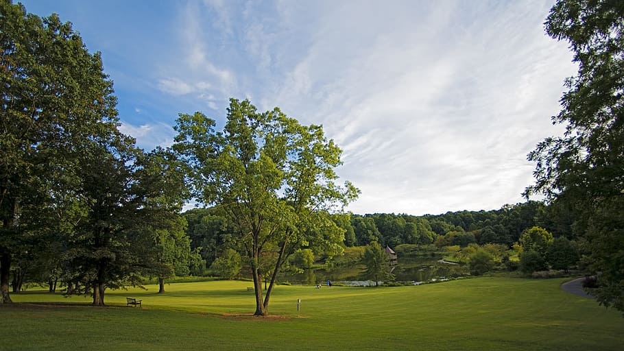 Meadowlark Botanical Gardens 1080p 2k 4k 5k Hd Wallpapers Free