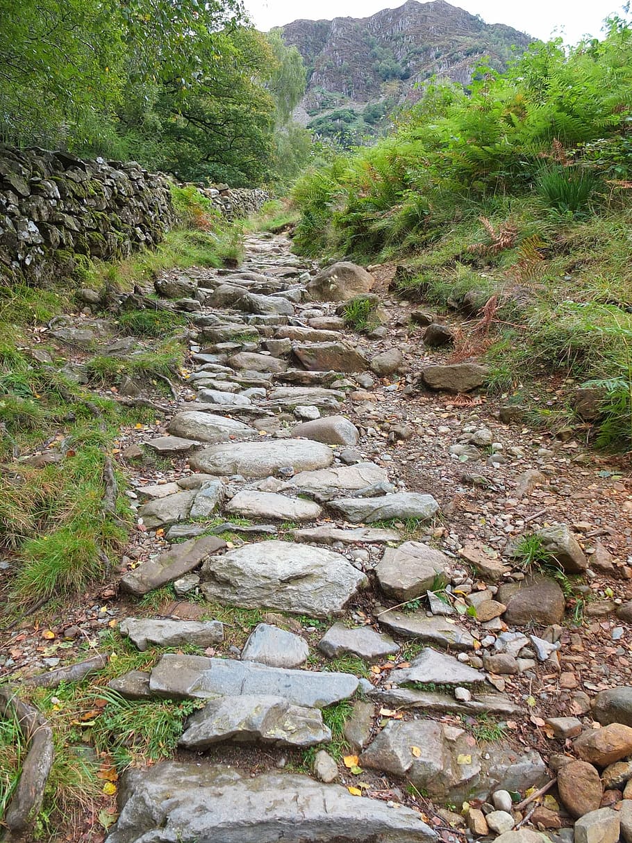 rugged, pathway, lakedistrict, uk, england, nature, the way forward HD wallpaper
