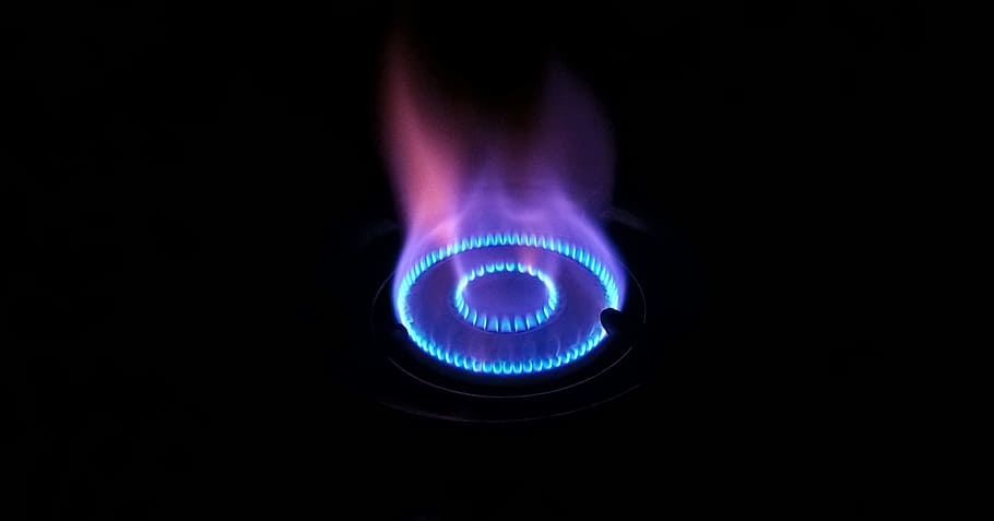 gas stove with blue and purple fire, burn, hot, energy, heat, HD wallpaper