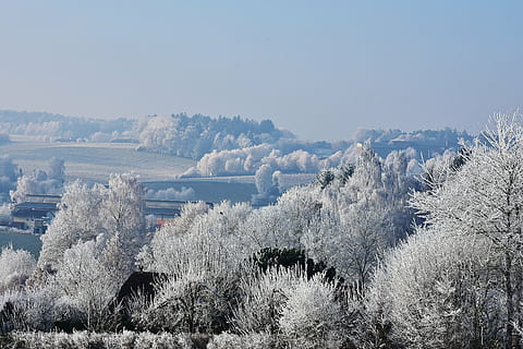 trees and mountain covered with snow, landscape, winter, sky HD wallpaper