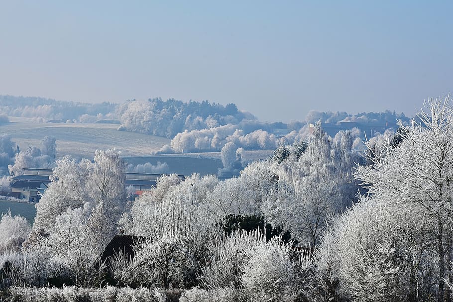 trees and mountain covered with snow, landscape, winter, sky HD wallpaper