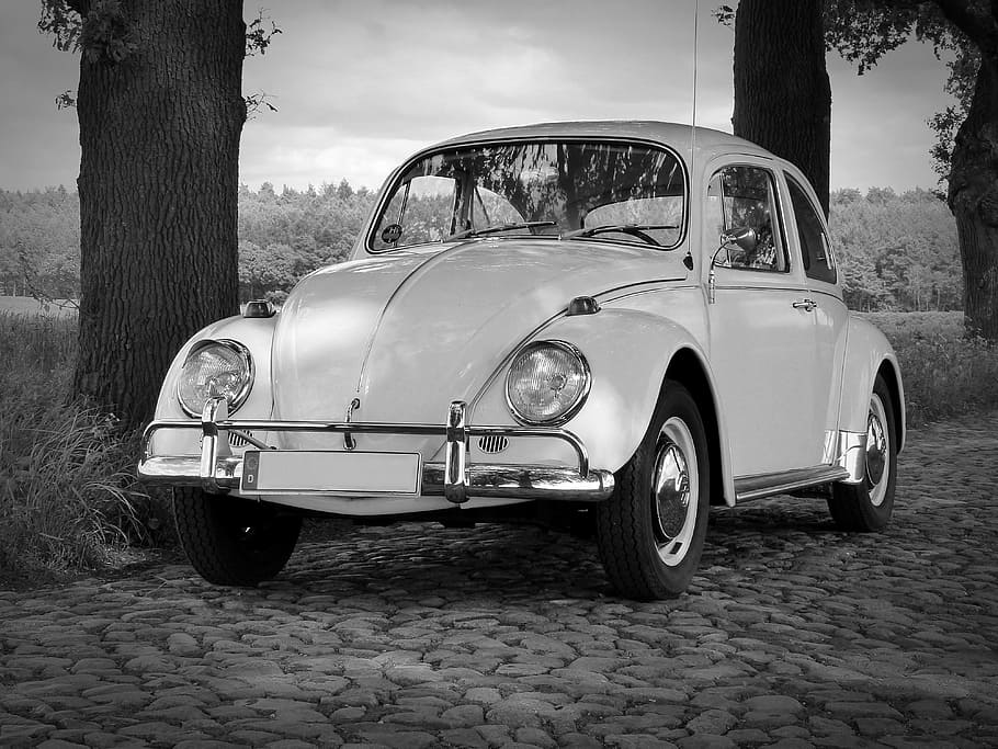 white Volkswagen Beetle, vw, oldtimer, classic, cobblestones