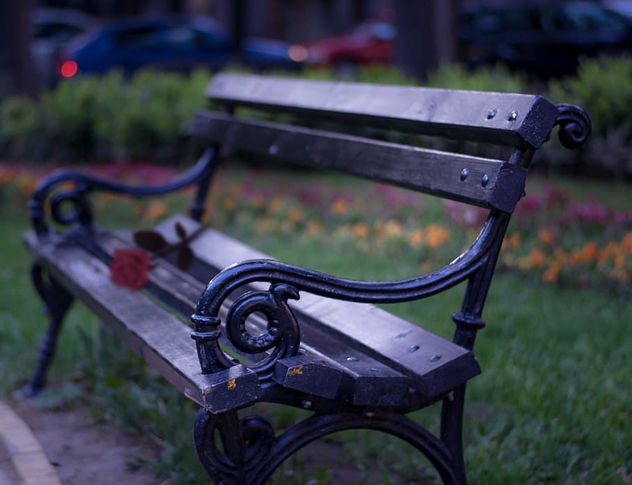 tilt-shift photography of black metal bench on grass field near flowers HD wallpaper