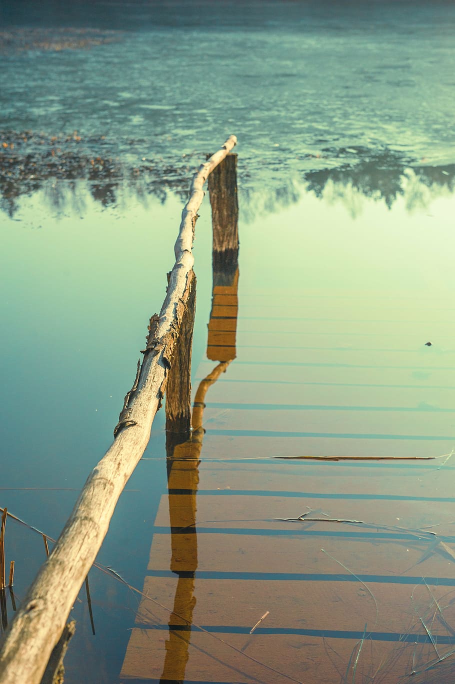brown wooden dock near calm body of water at daytime, web, flood HD wallpaper