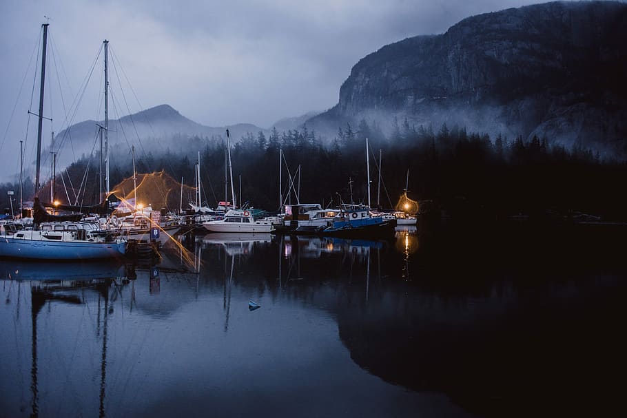 yacht beside mountains, sailboats on body of water, tree, woodland HD wallpaper